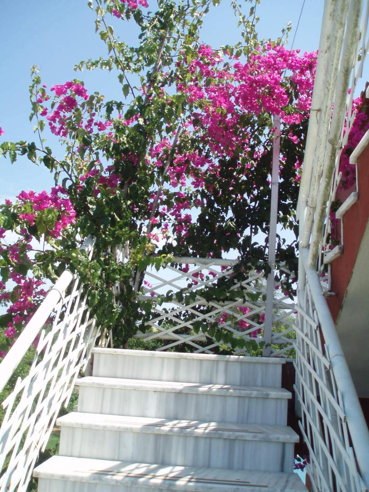 Crystal Apartment Kavos Exterior photo
